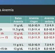 Data Anemia Remaja Putri Di Indonesia 2023